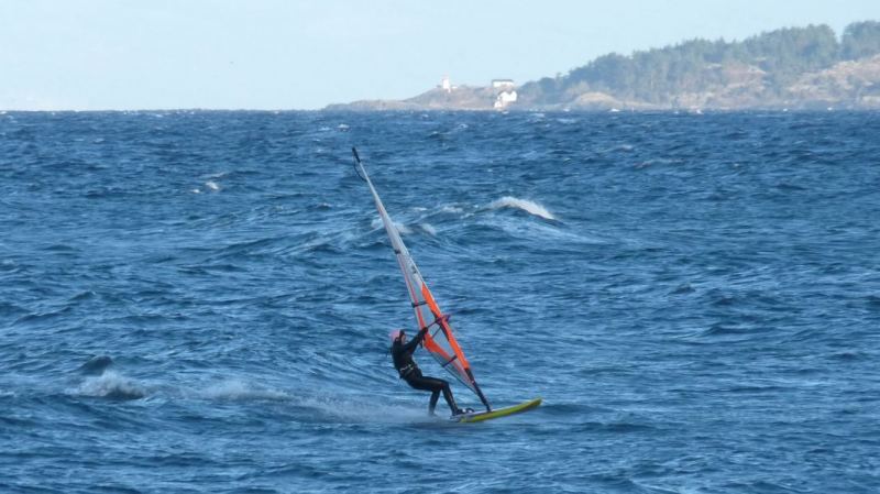 Jelly sighting at SP!
