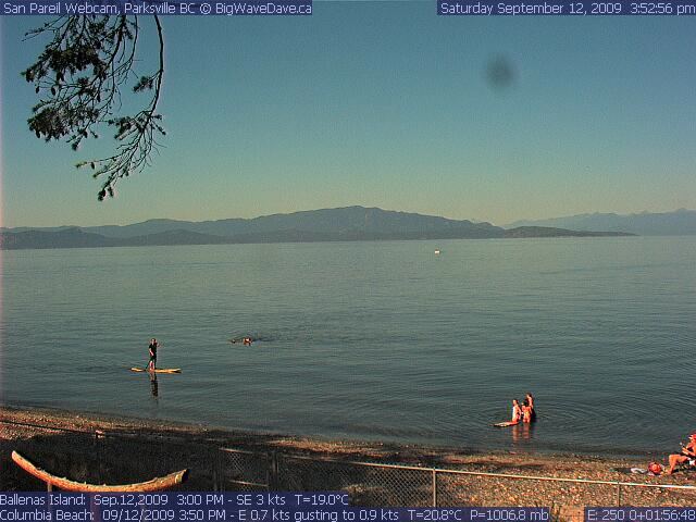 BWD SP debut
Let's hope this isn't a classic SP moment!
