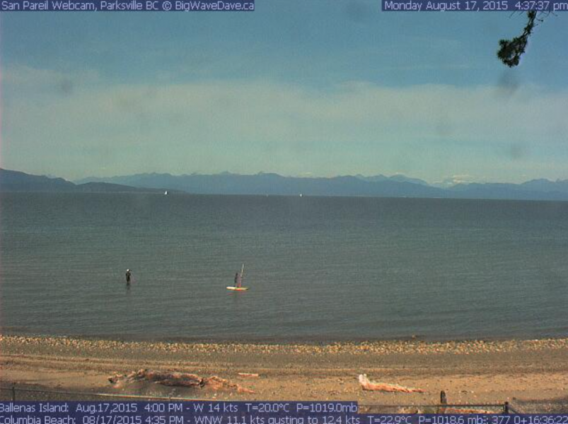 Luke's windsurf session 
First jibe today!!!
