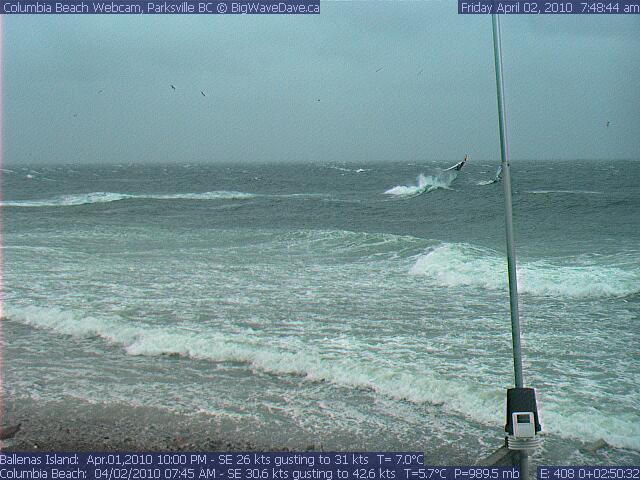 The reward for those who braved the storm!
