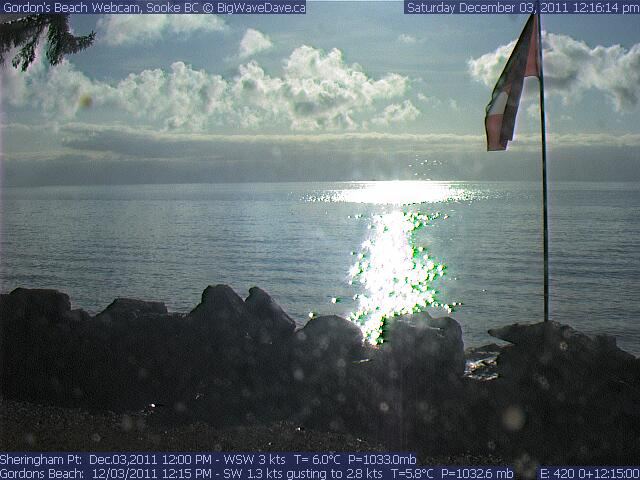 Gordon's Beach Christmas Tree
