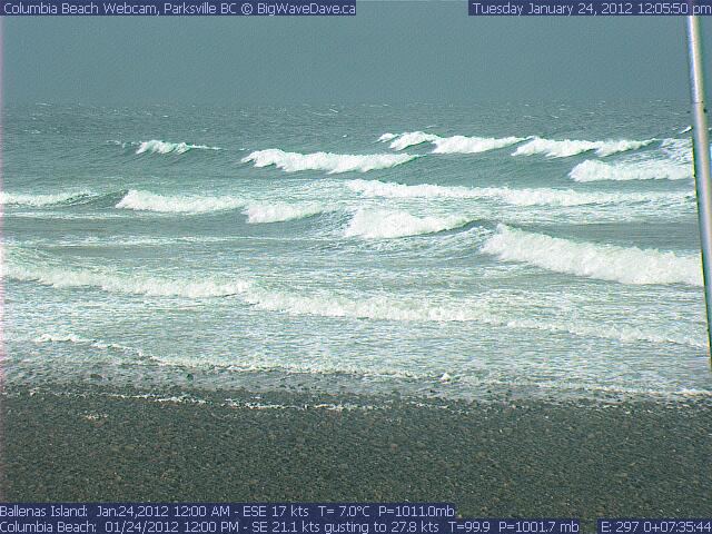 CB January 24,2012
Beauties
