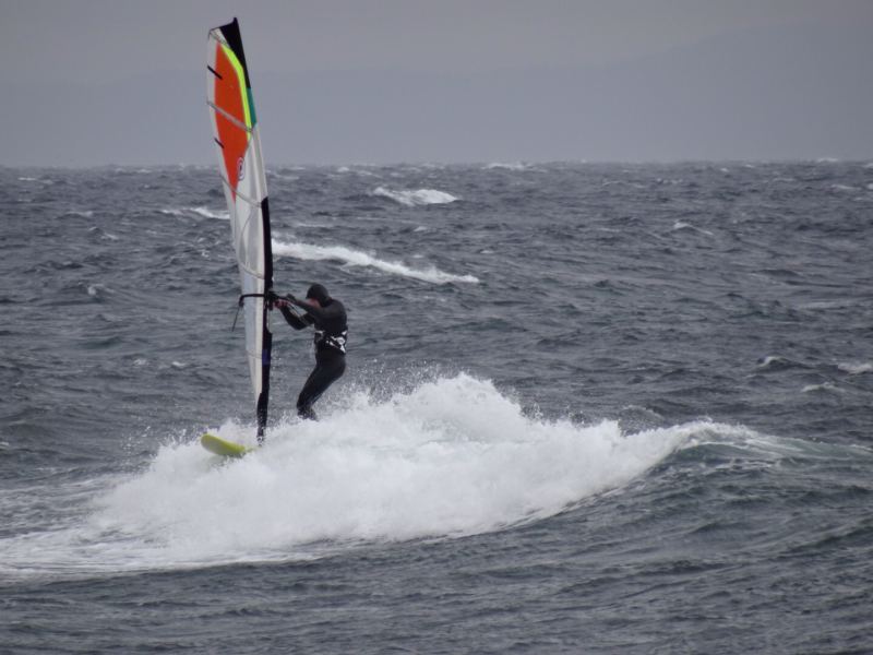 CB February 10,2014
Kus playing in the waves after the long drought

