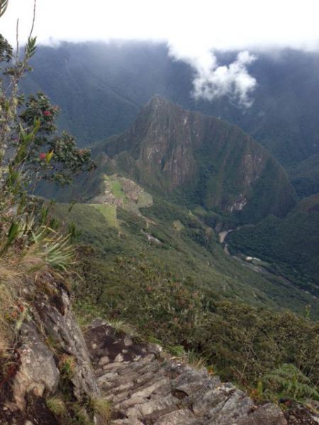 Secret spot, South island hike
Got above the fog on this one.
