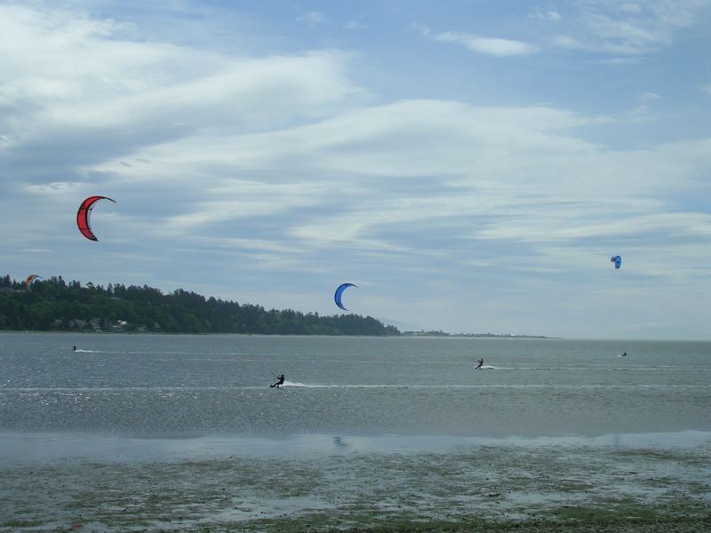 Tsawwassen Ferry Causeway -May 23, 2008
