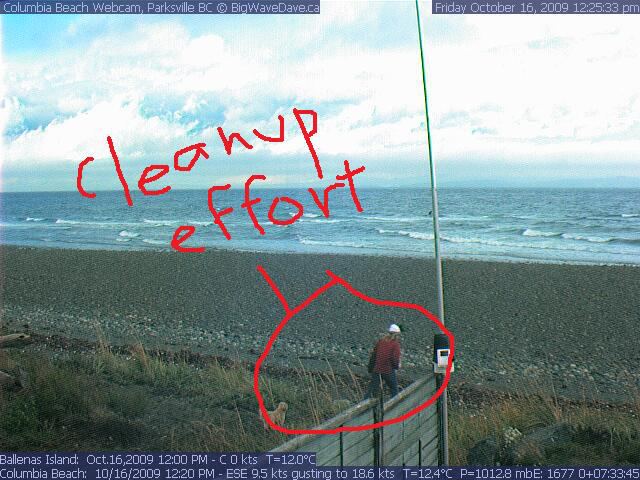 The Responsible Dog Owner
