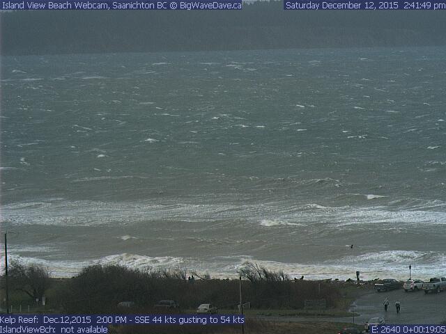 Surfer
Someone trying to get a wave in the nuking wind swell.
