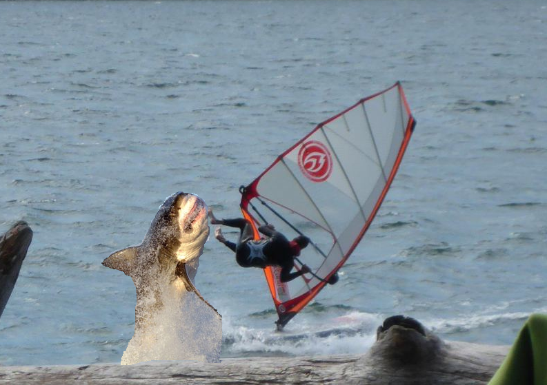 Wind"Chuck Norris"doctor
SICK MOVE!!!! 
