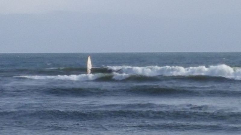 Shaggy finding a nice set at G-west 2016-04-24
