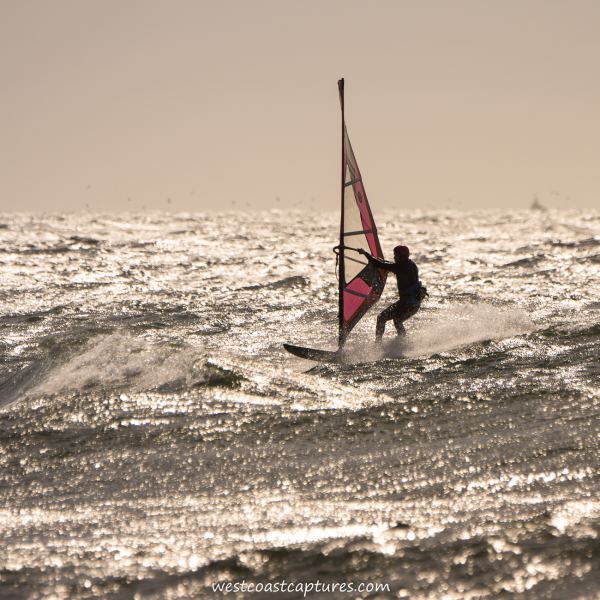 2015-02-14 Cook
Click pic for larger view
