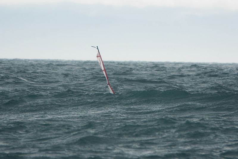 Kus - Cook - Jan 17-2011
