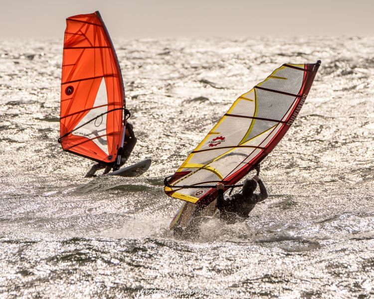 2015-02-14 Cook
Click pic for larger view
