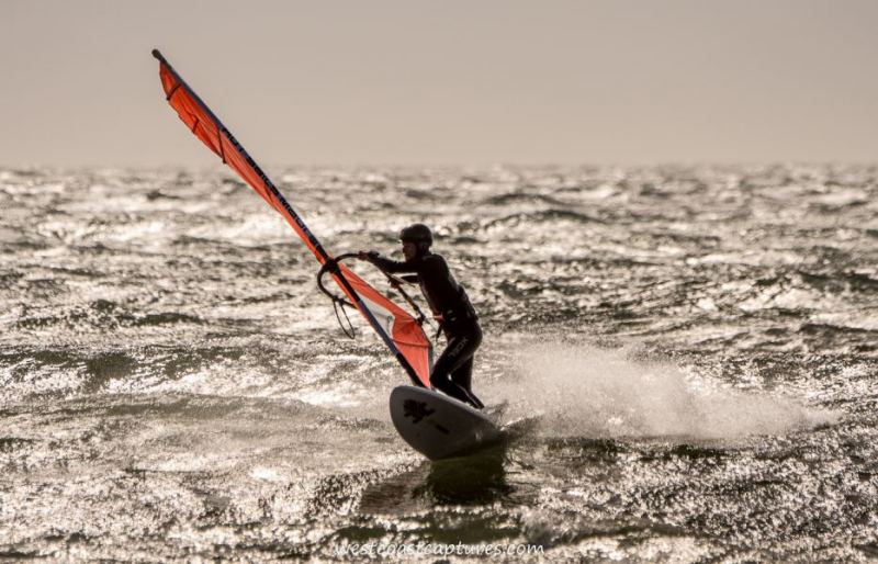 2015-02-14 Cook
Click pic for larger view
