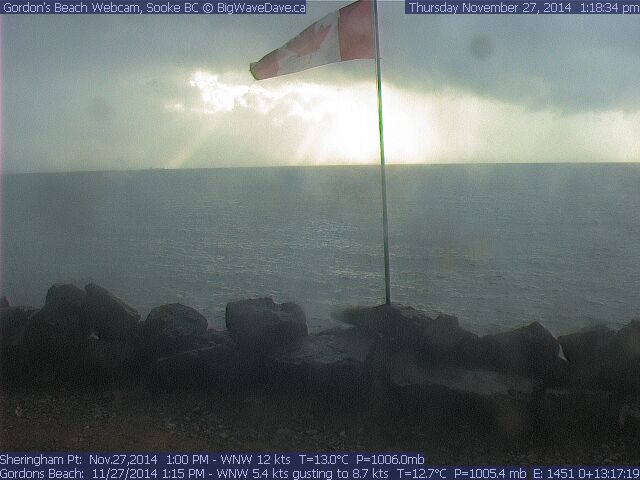 Go into the Light. There is peace and serenity in the Light.
