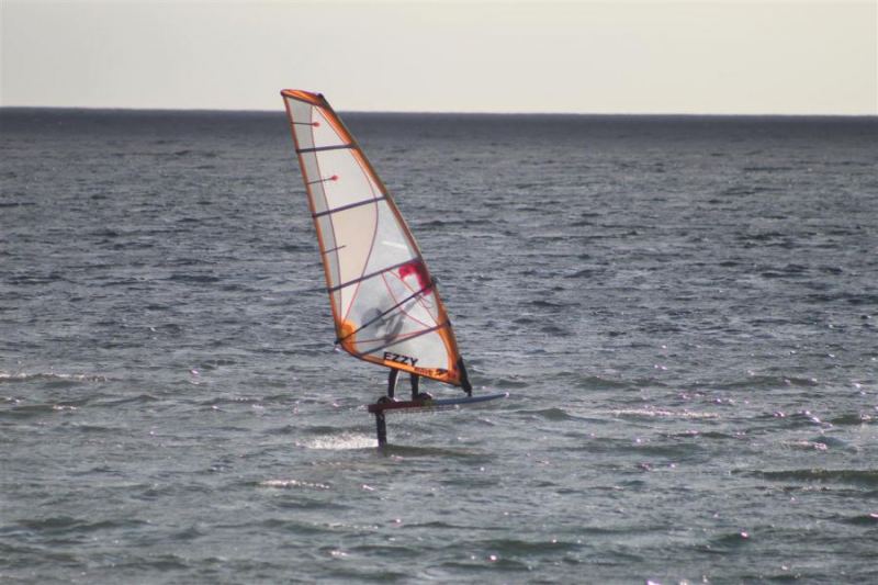 Shaggy foiling
