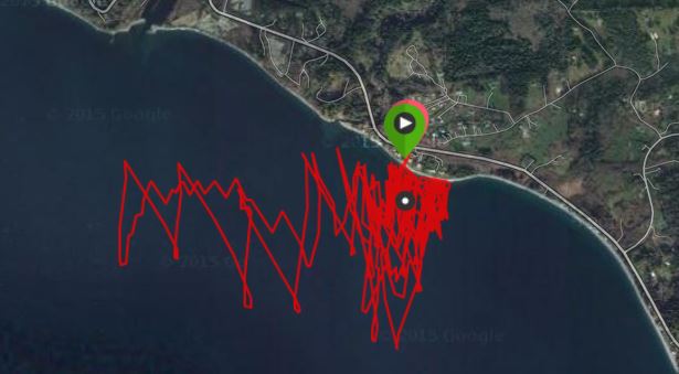 Gordons Foil session
