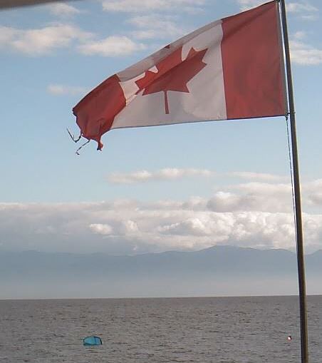 Reality Check
Hello Fall
