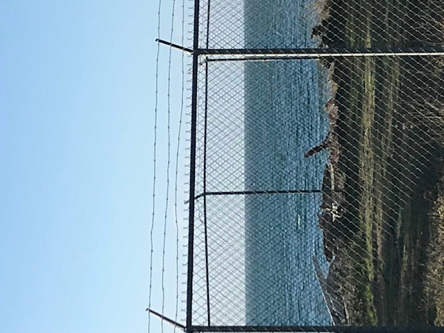 Covid Restrictions at Gordonâ€™s 
 Nanmoo crapped at the launch one too many times. 
